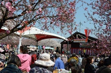 下野市のイベント_天平の花まつり