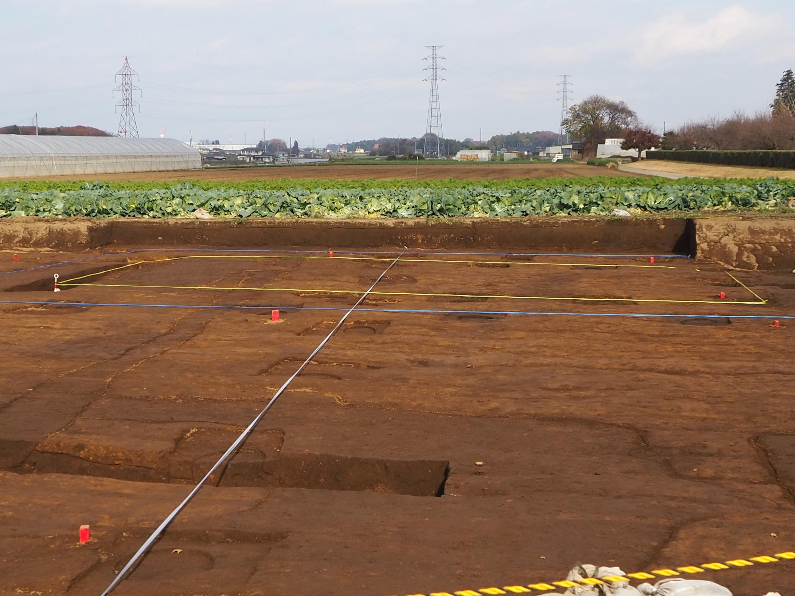 落内遺跡第4次調査区（南から）