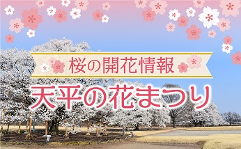 第46回天平の花まつり