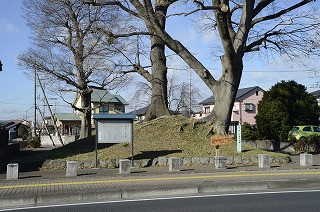 国指定史跡 小金井一里塚