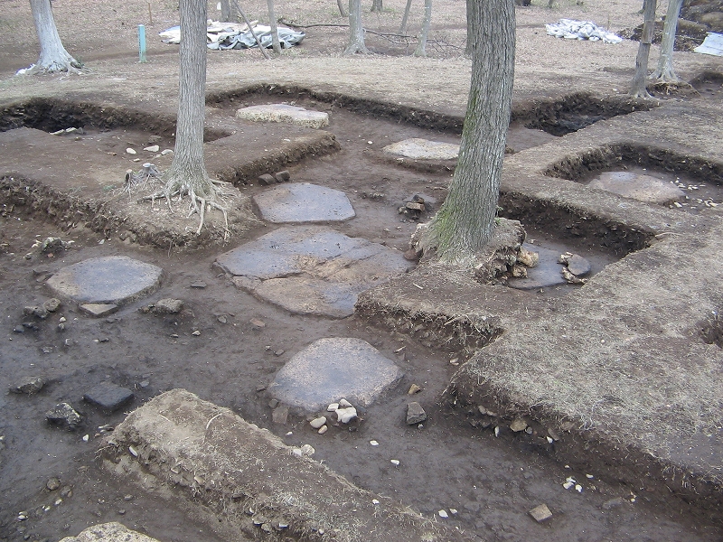 国分寺跡塔跡礎石の写真