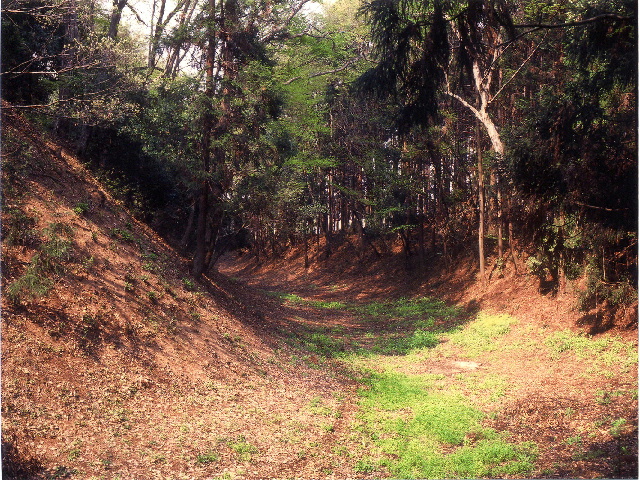 児山城跡