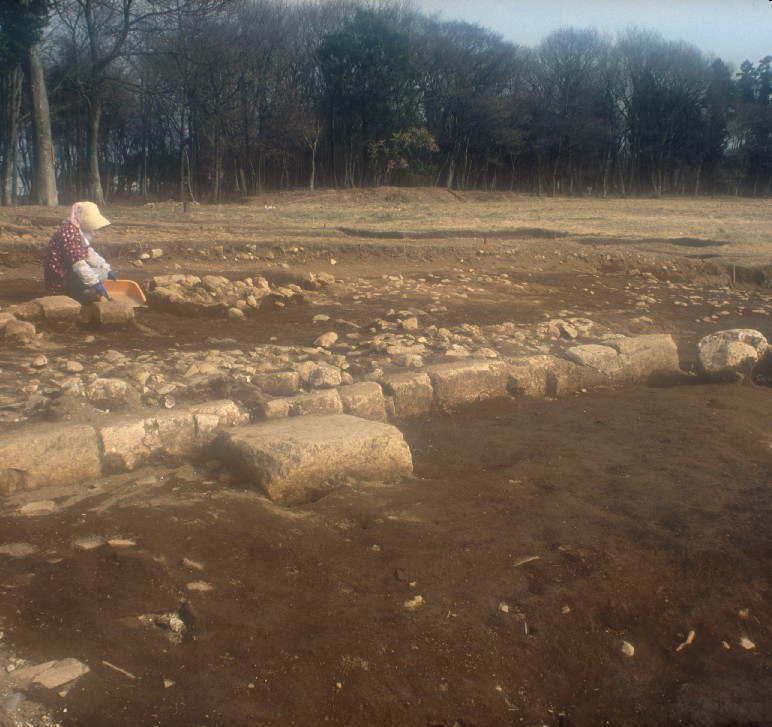 下野国分寺跡金堂の写真 下野国分寺跡金堂の写真
