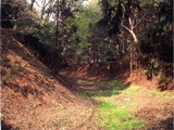 下野市の見どころ_児山城跡