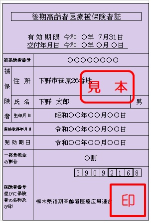 後期高齢者医療被保険者証（見本）