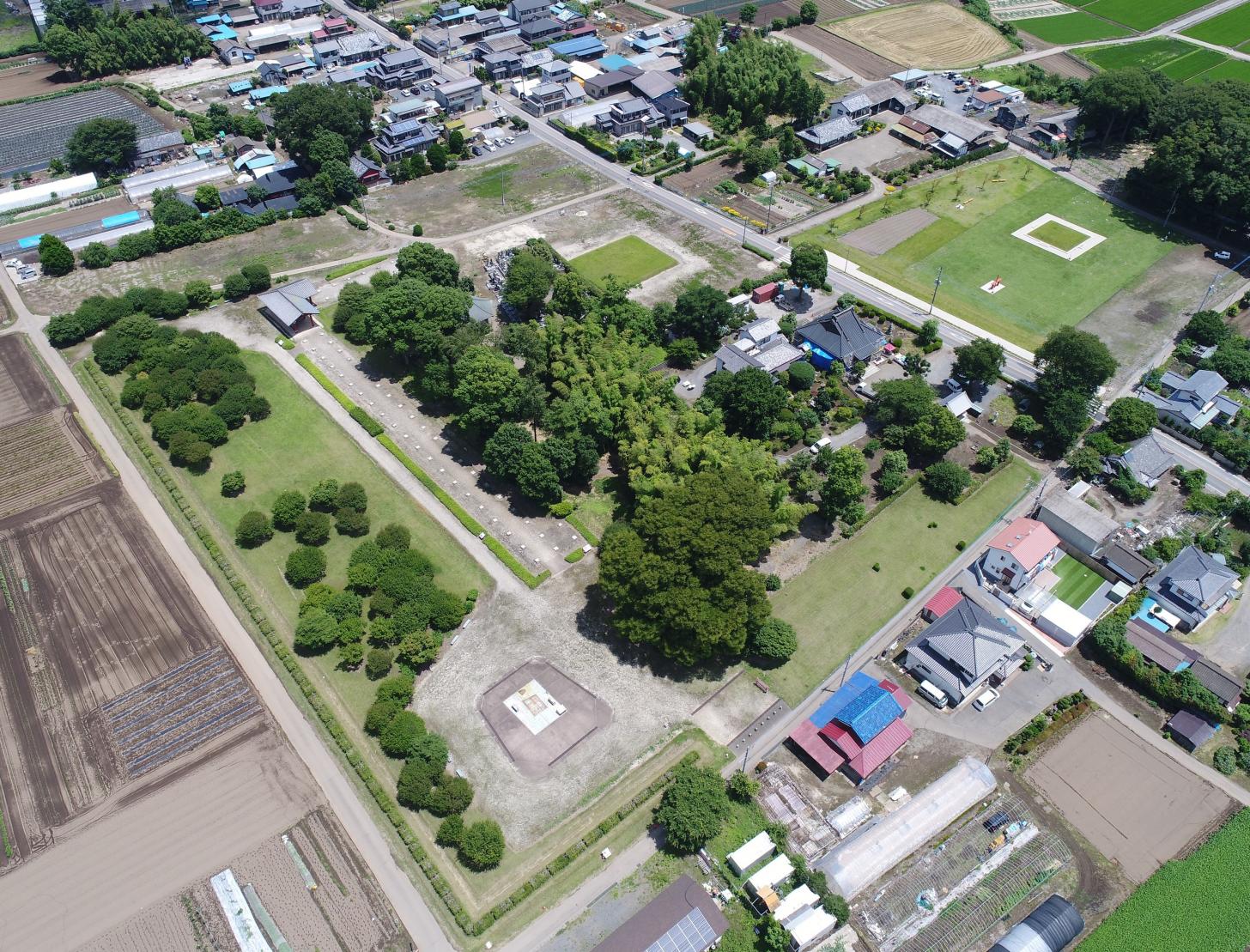 下野薬師寺跡（上空から）