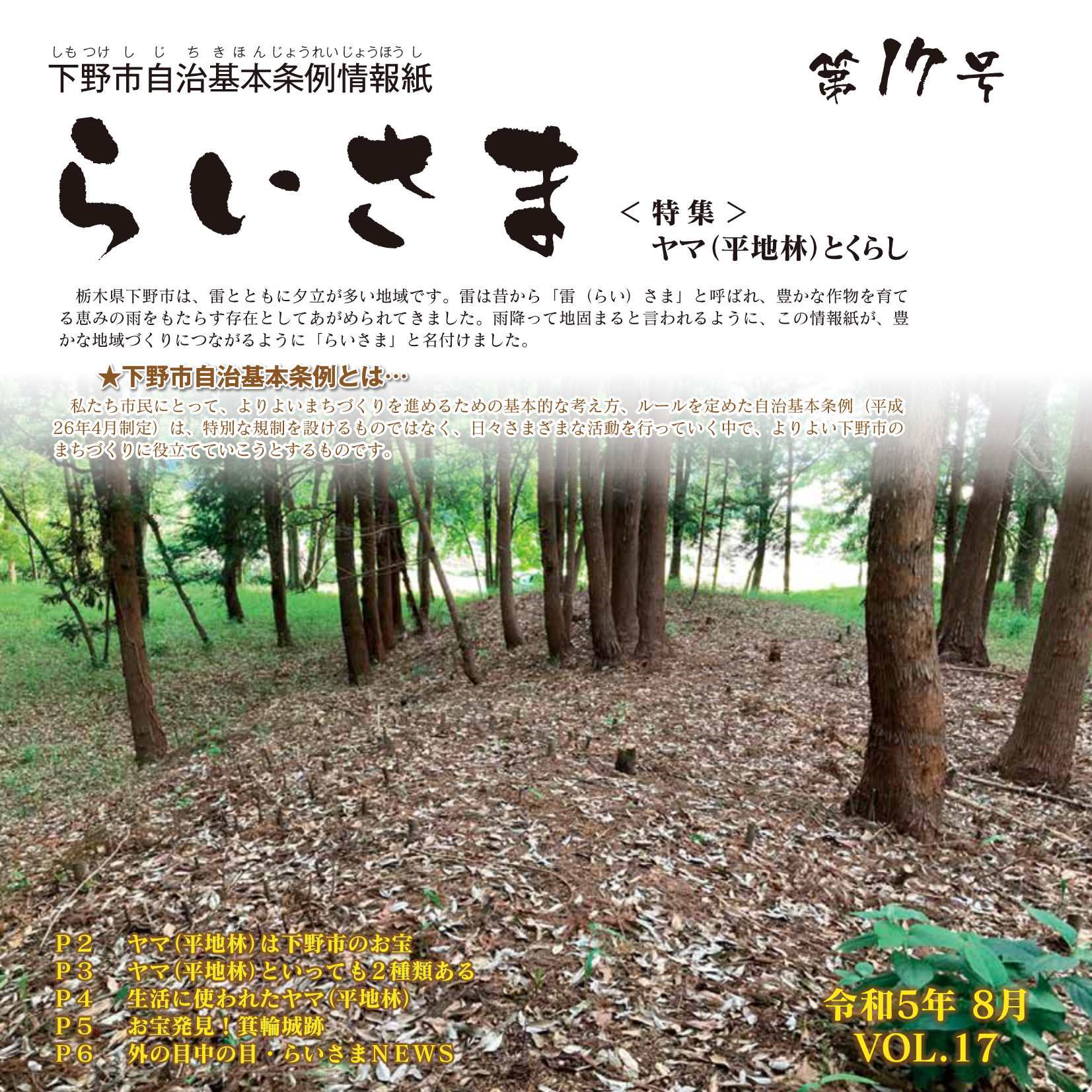 らいさま17号_表紙 らいさま17号_表紙