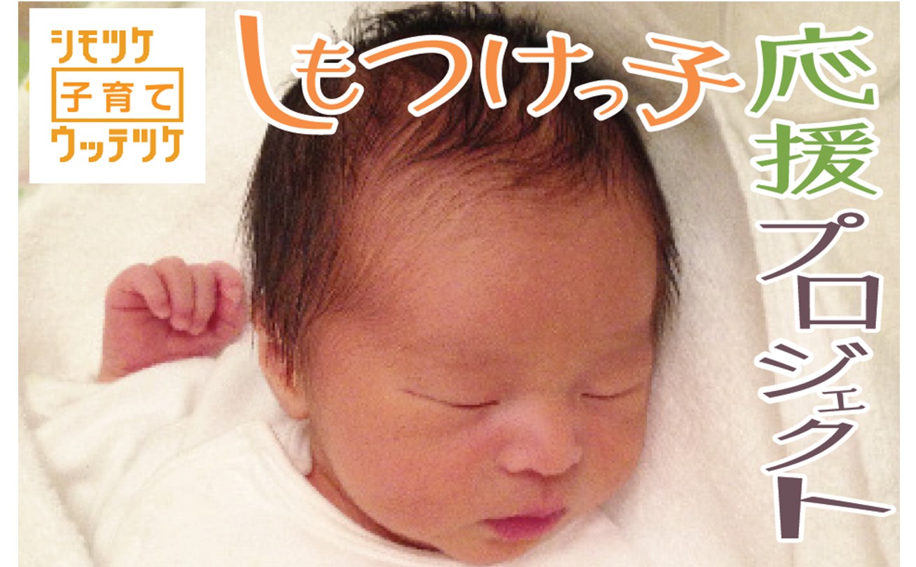 下野市の子育て支援策について