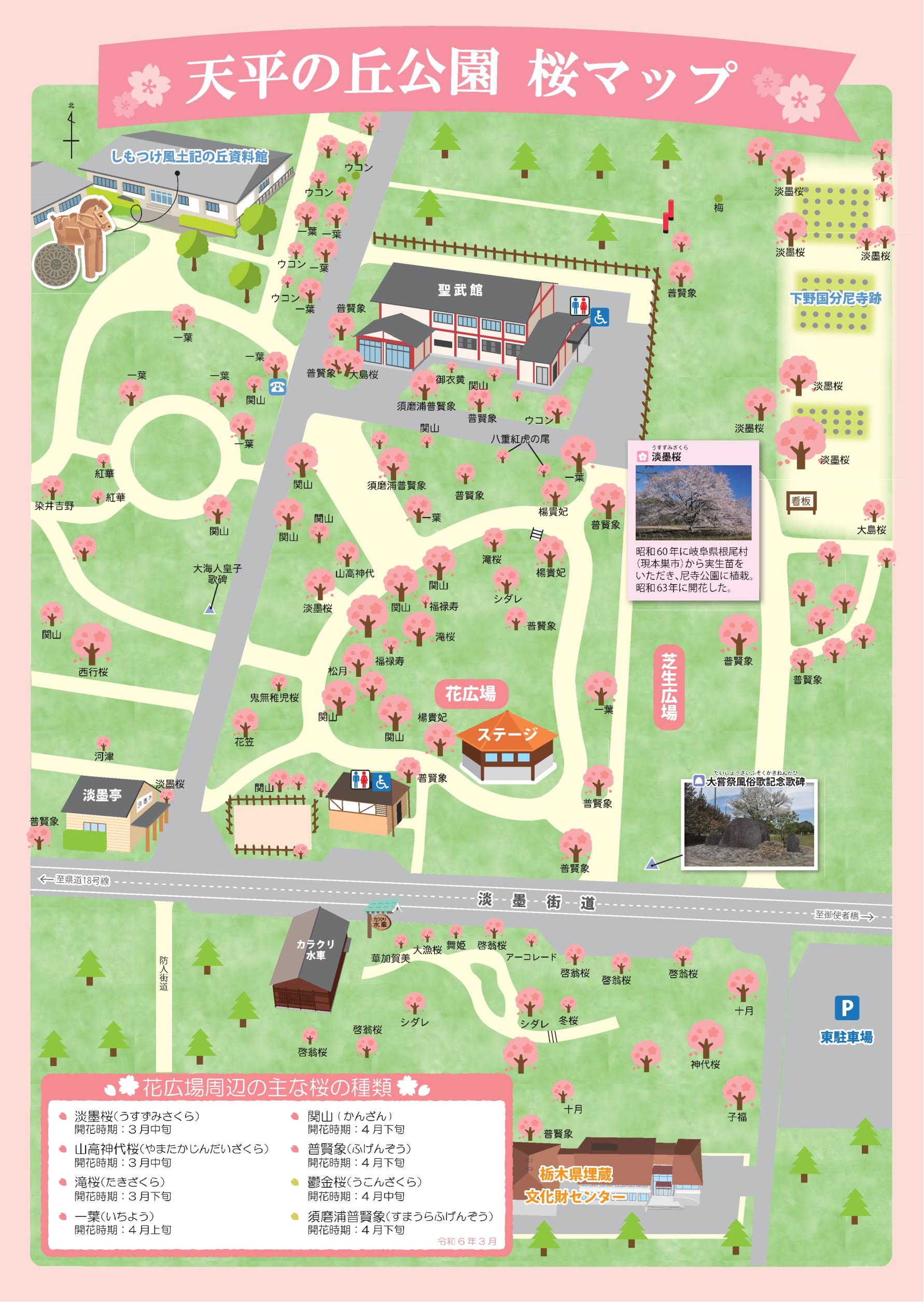 天平の丘公園桜マップ（北側）