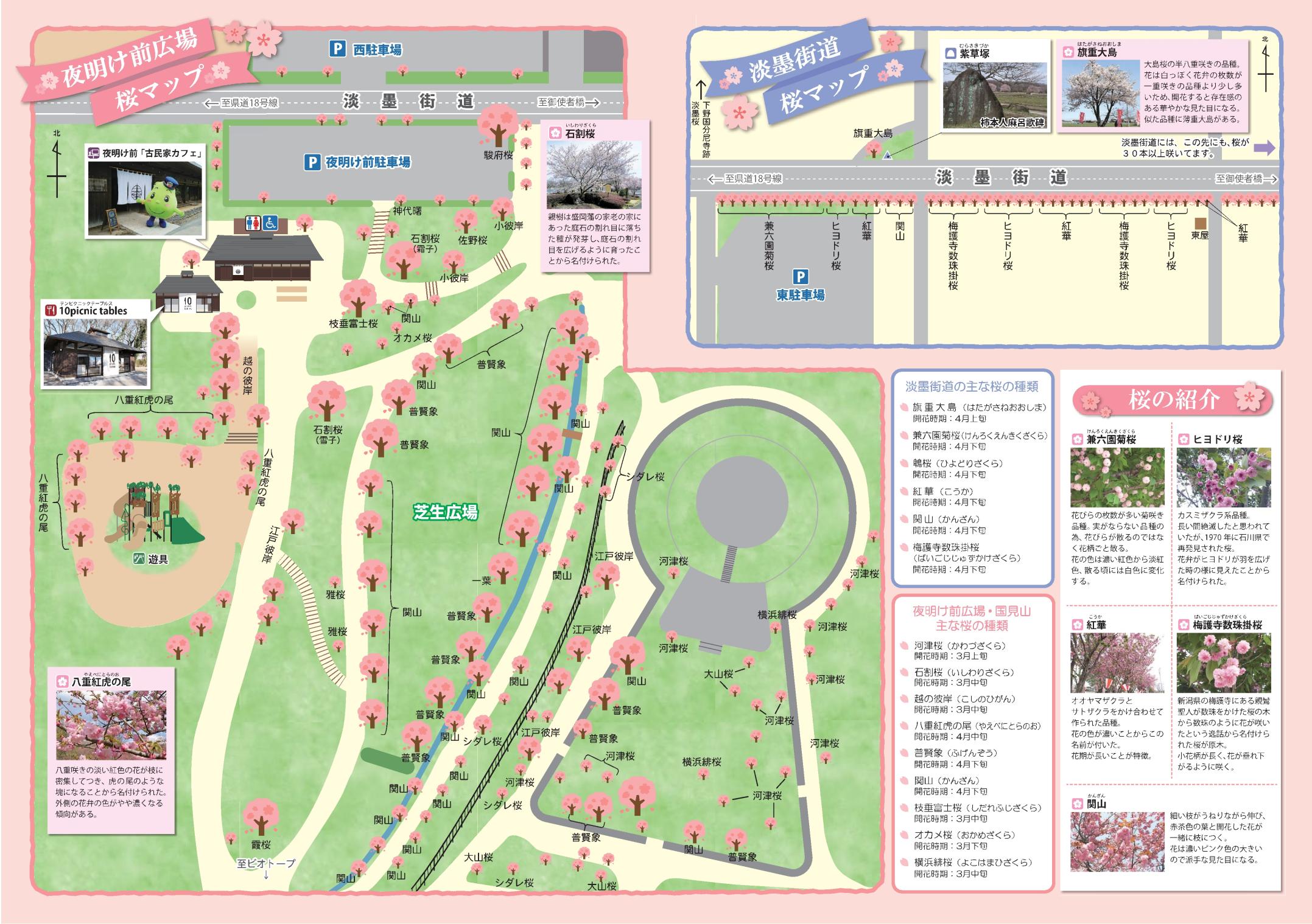 天平の丘公園桜マップ（南側）