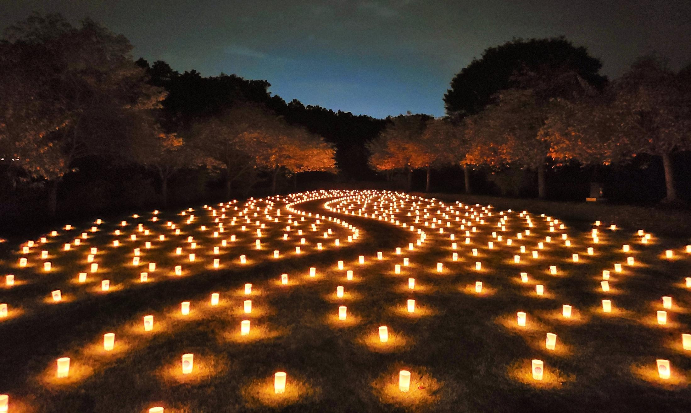 八重桜燈場