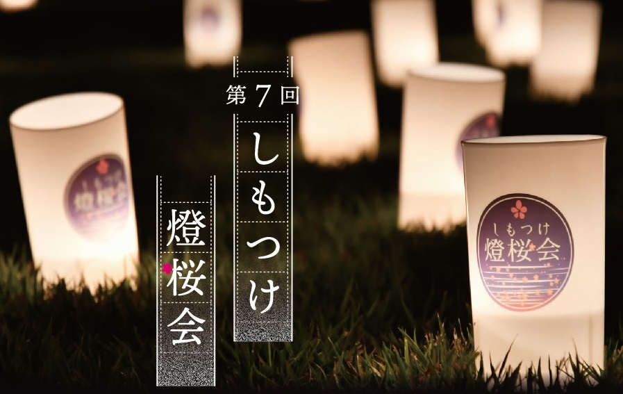 淡い光を灯す天平の丘公園【しもつけ燈桜会】