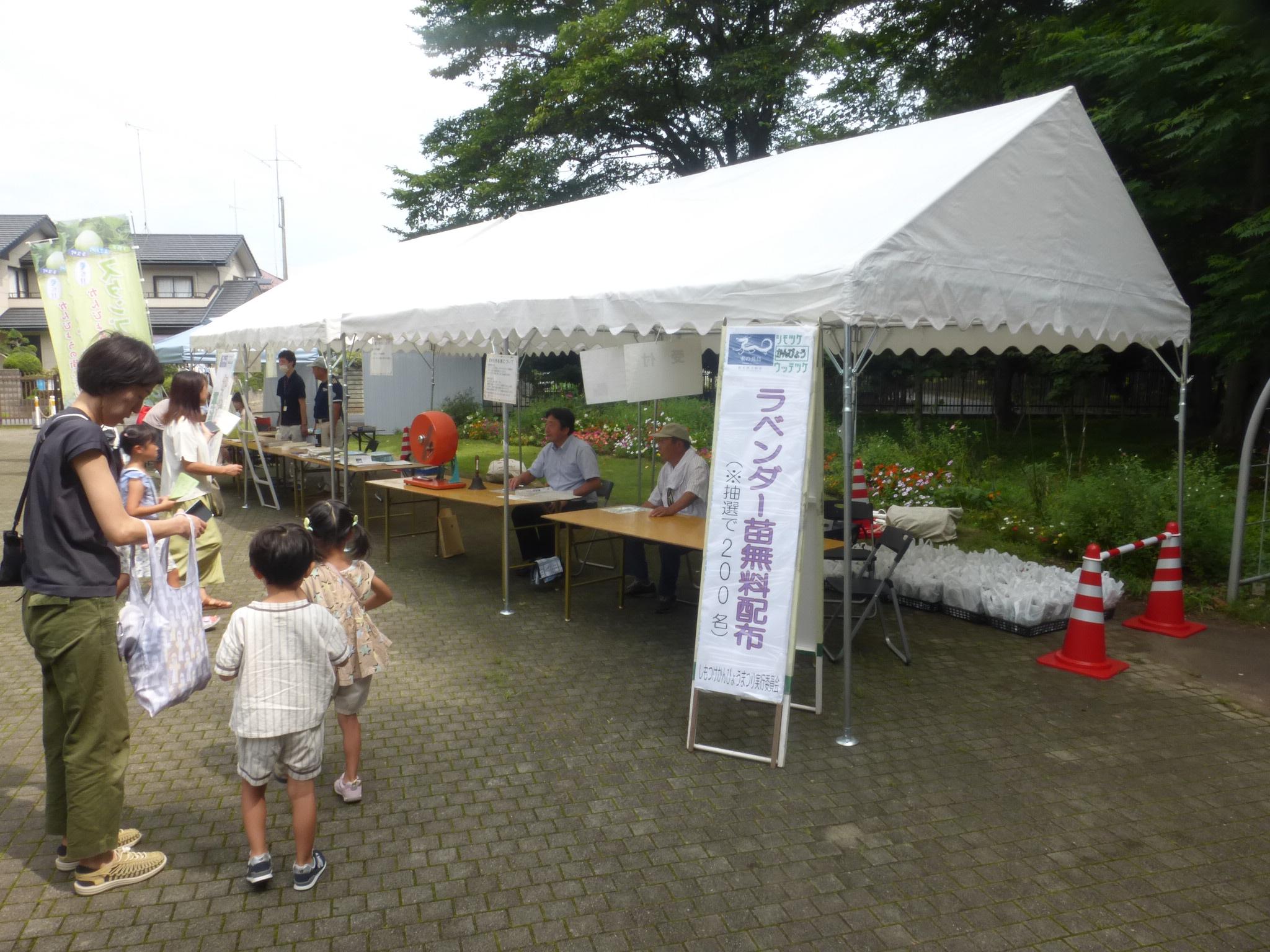 苗木配布