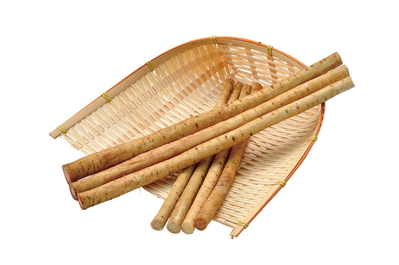 11.石橋ごぼう