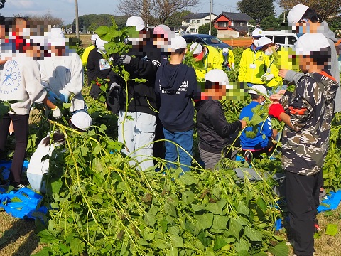 活動中の6年生 活動中の6年生