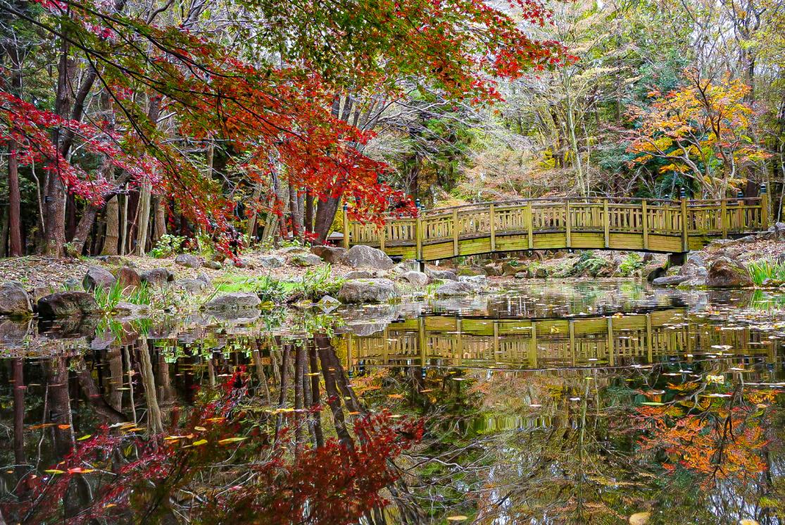 「自然に囲まれた史跡を巡る場所」天平の丘公園