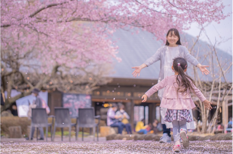 夜明け前 夜明け前
