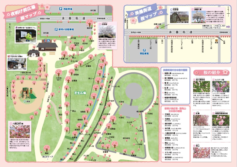桜マップ(夜明け前) 桜マップ(夜明け前)