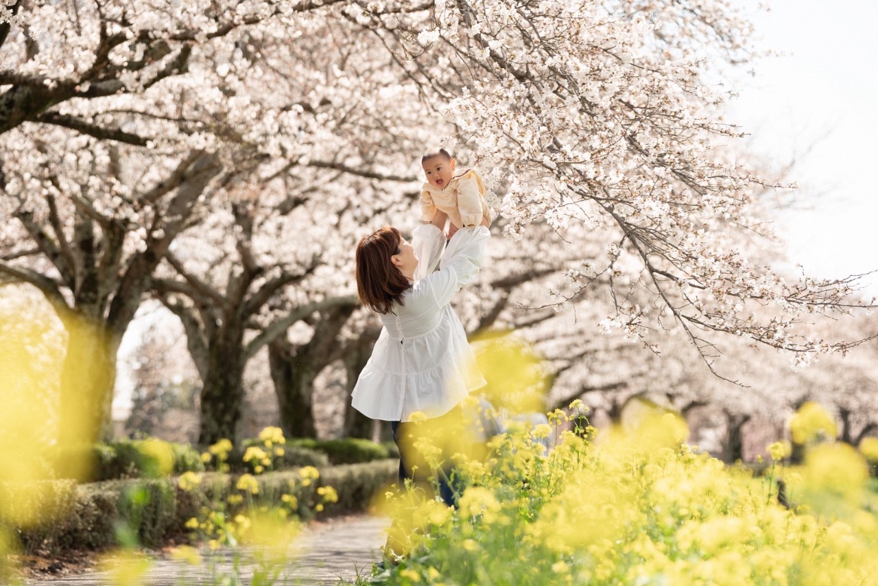 「はじめての桜」