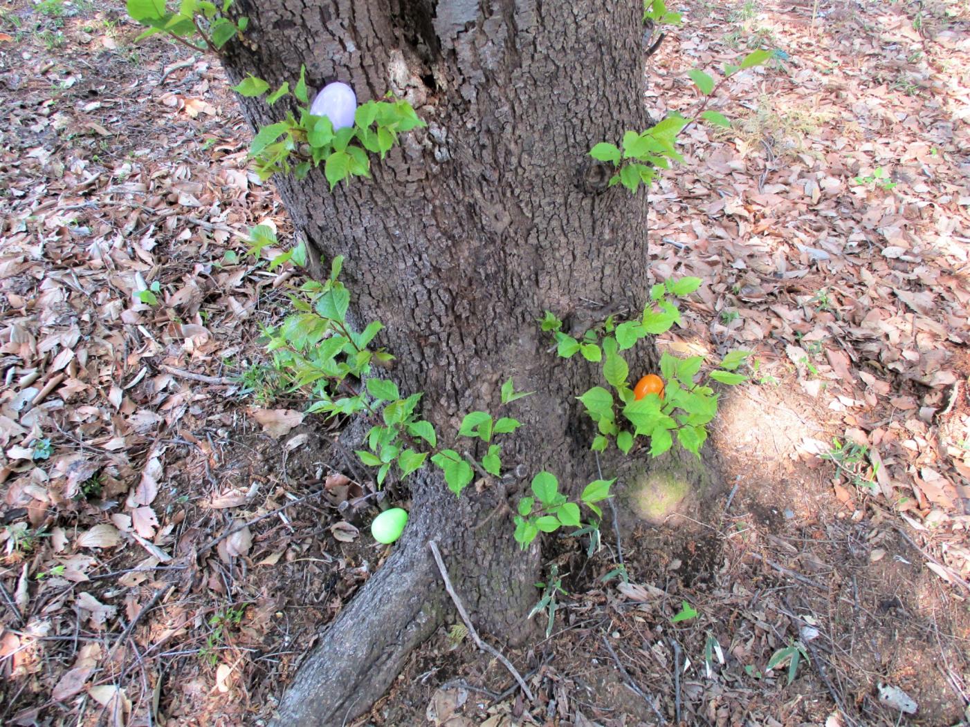 隠された色とりどりの卵