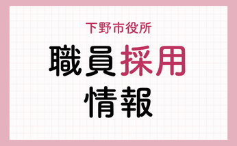 職員採用専用WEBサイト（パブリックコネクト）
